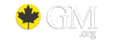 Global Midia